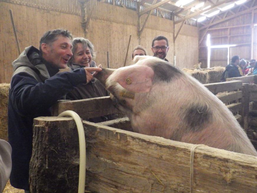 Sortie à la ferme de l'Ecotay à Montreuil-Bellay 2019 - Photo © A. Taquet - S. Desgranges