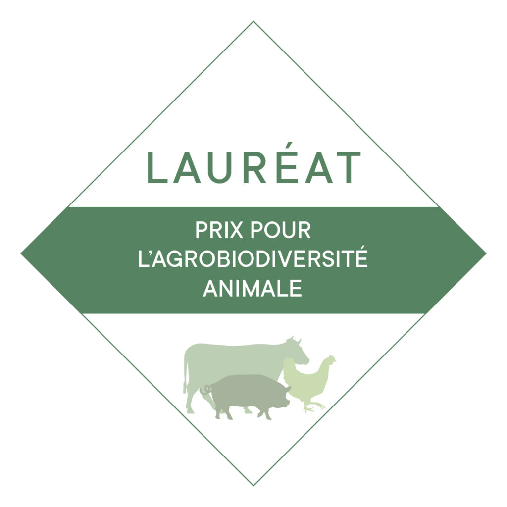 Prix pour l'agrobiodiversité animale attribué par  la fondation du patrimoine