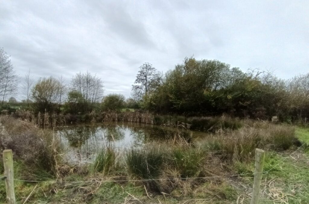 Chantier Restauration Mare 2025 Après Travaux