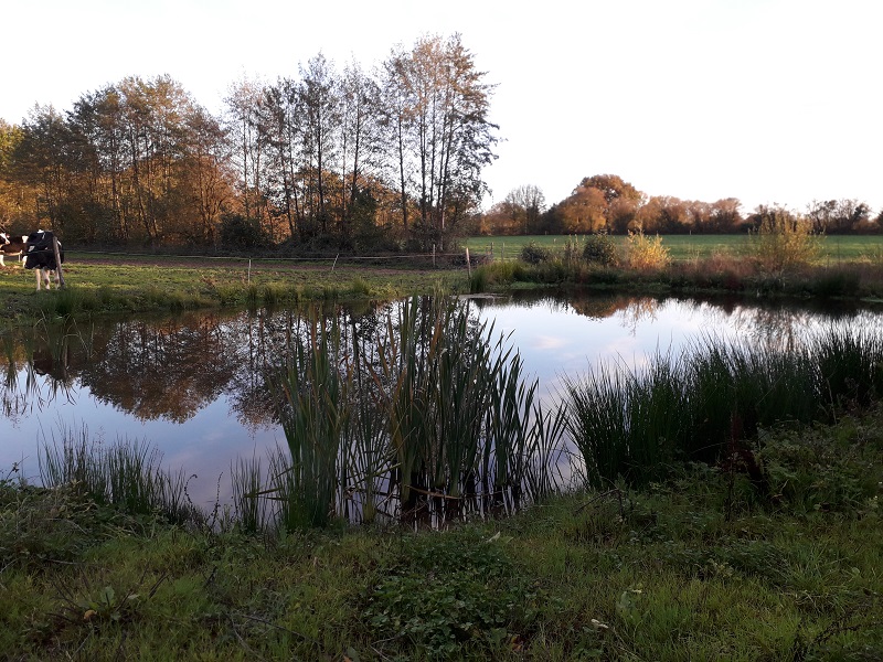 Mare Crédit Reti Doineau Web