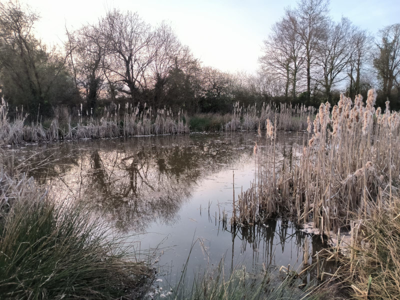 Mare Ferme Doineau Juliette Daugeard Theo Bouvier