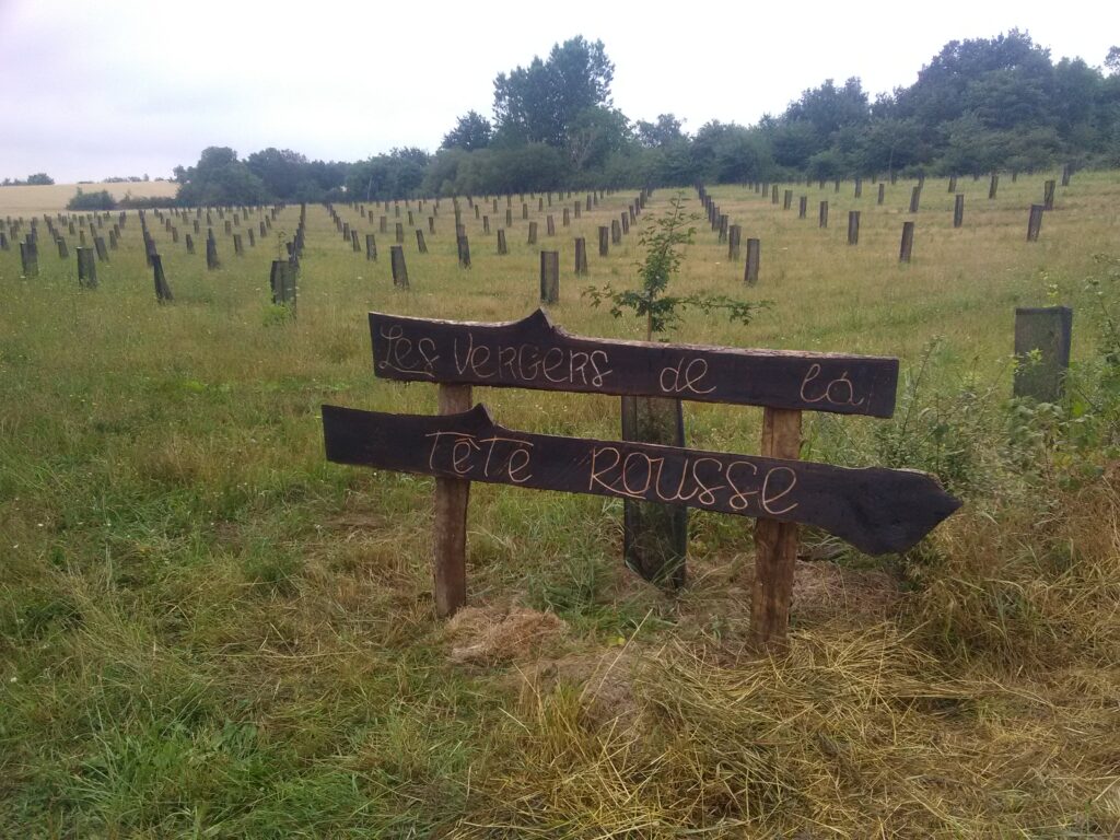 Les Vergers de la tête rousse