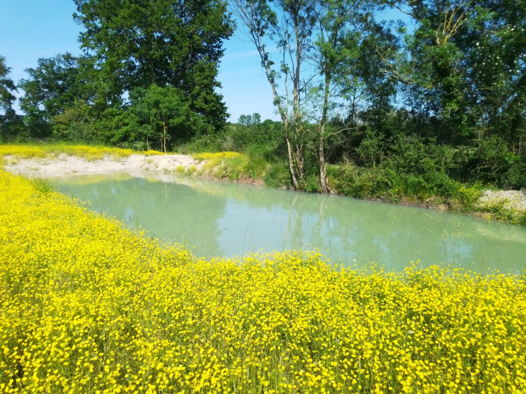 mare restaurée - photo Aymeric Legrand