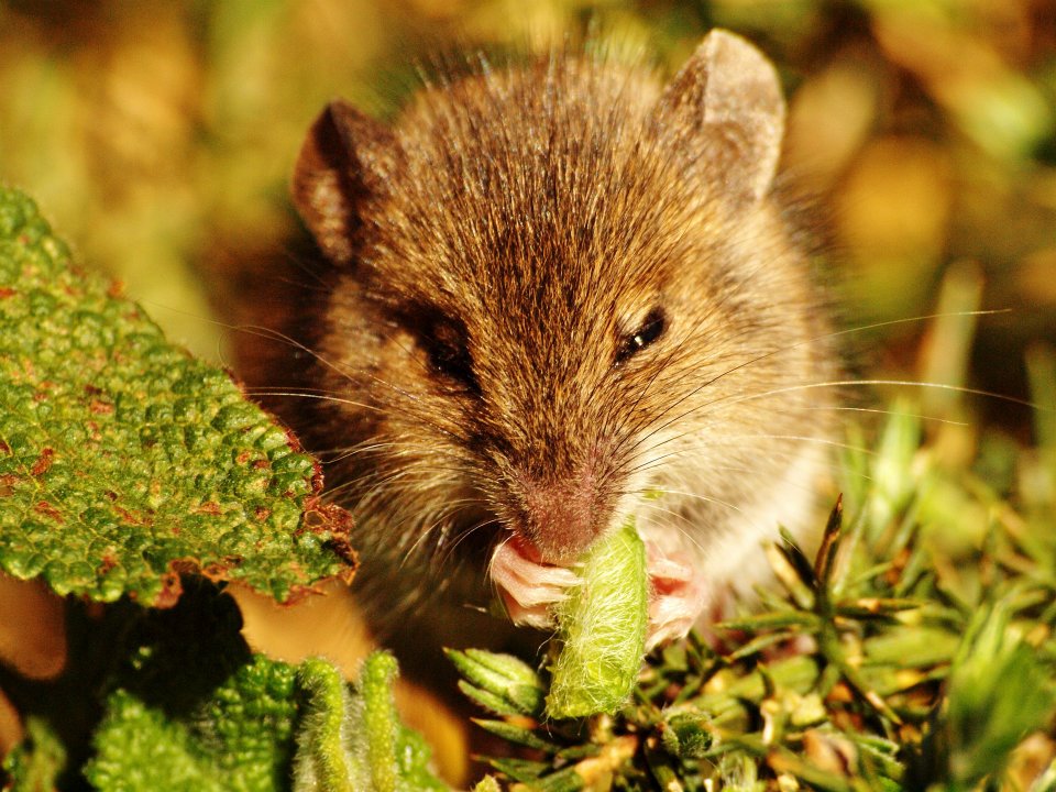 Photo Aymeric Legrand