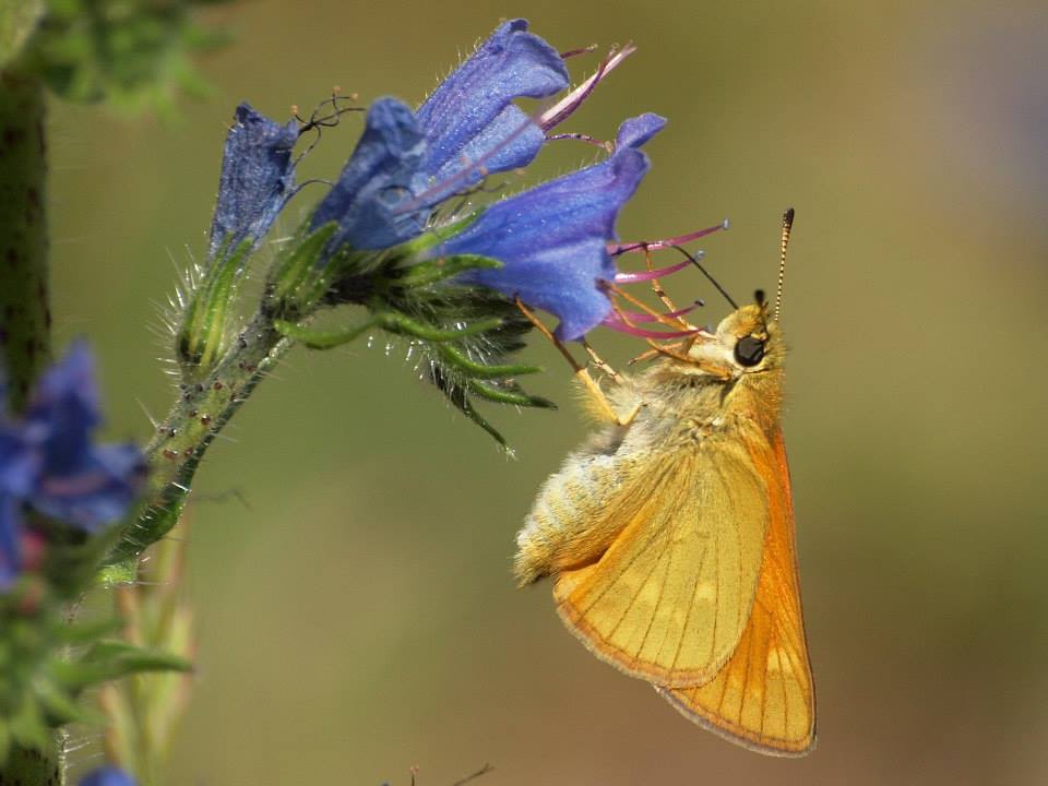 Photo Aymeric Legrand