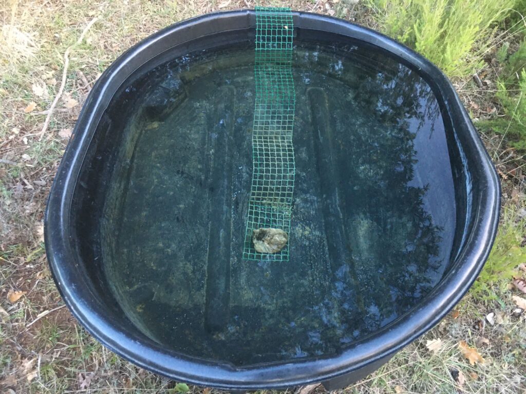 Bricobiodivmatthieu (2)