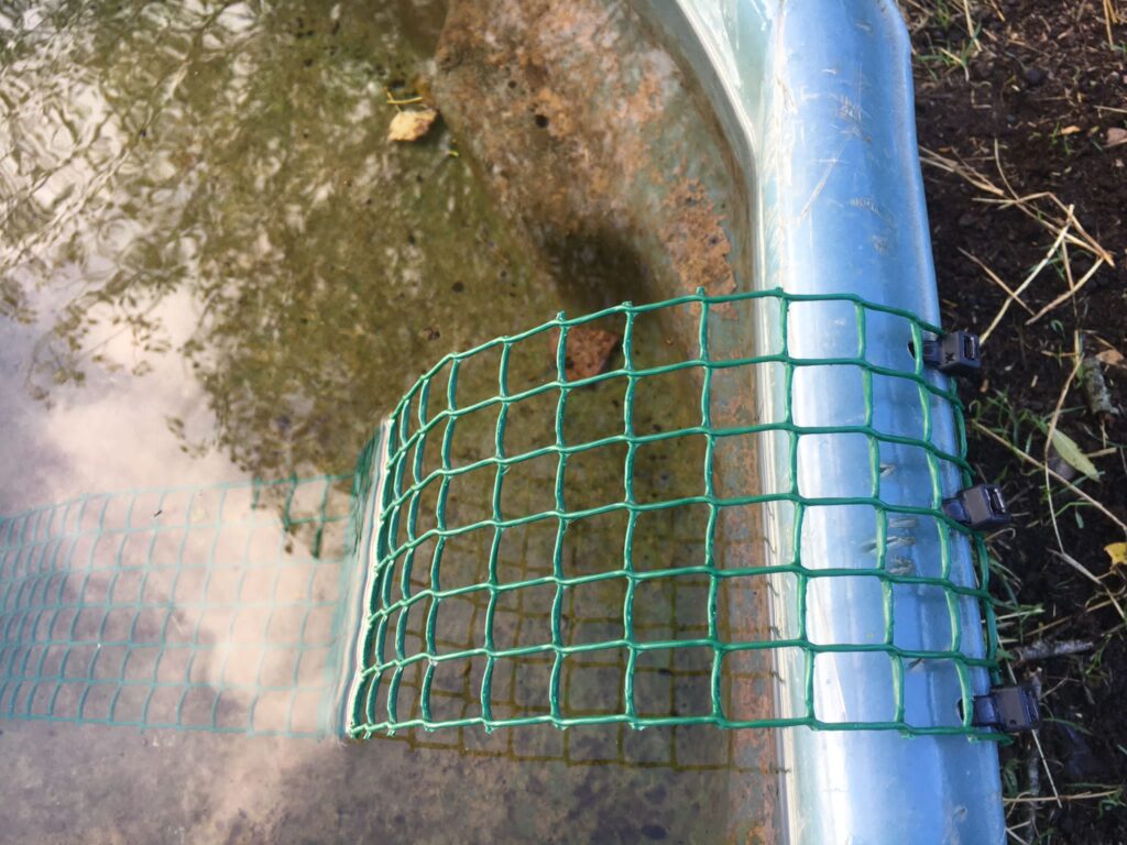 Bricobiodivmatthieu (3)