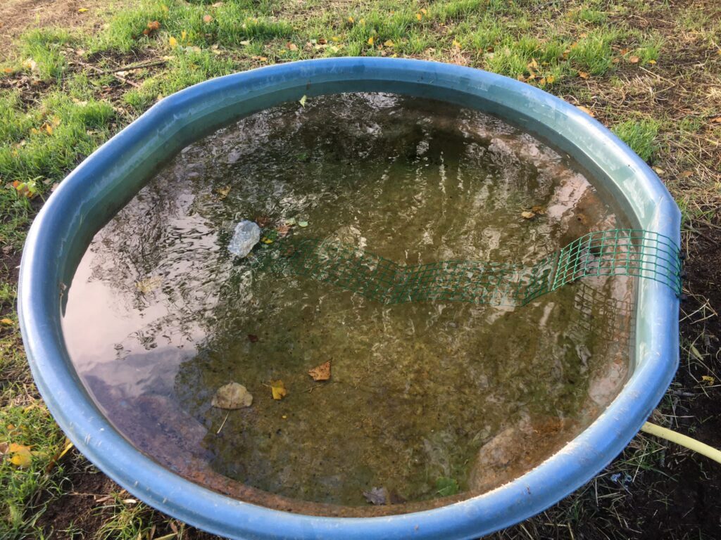 Bricobiodivmatthieu (4)