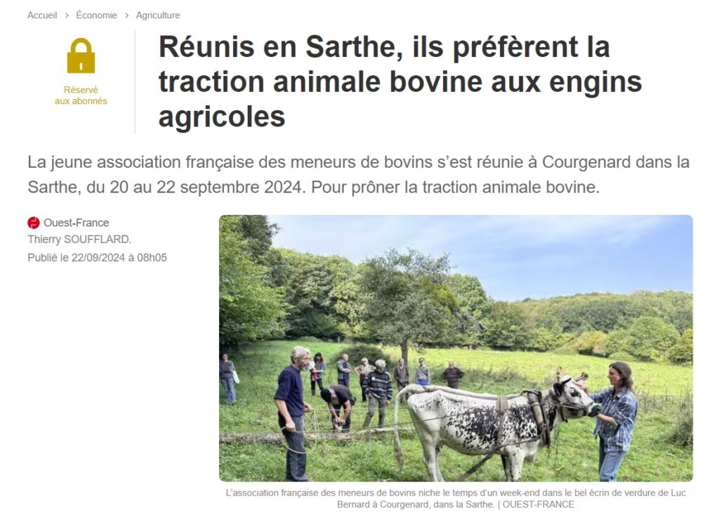 Extrait de l'article Ouest France du 22 septembre 2024 sur les rencontres de meneurs bovins