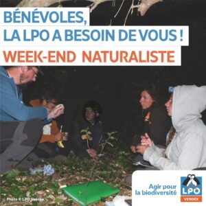 Lpo85 Visuels 2024 We Naturaliste