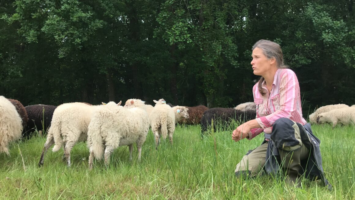 Ferme du Gabbro – Sophie Nedellec Sophie Nedellec - ferme du Gabbro