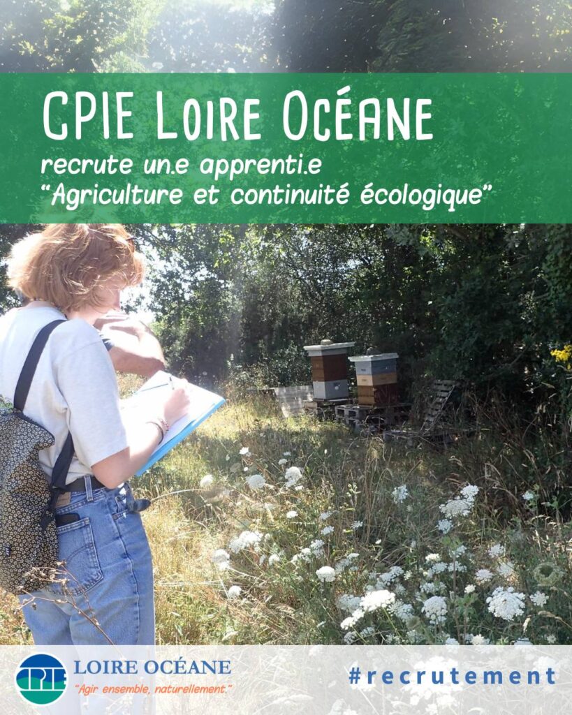 recrutement affiche CPIE