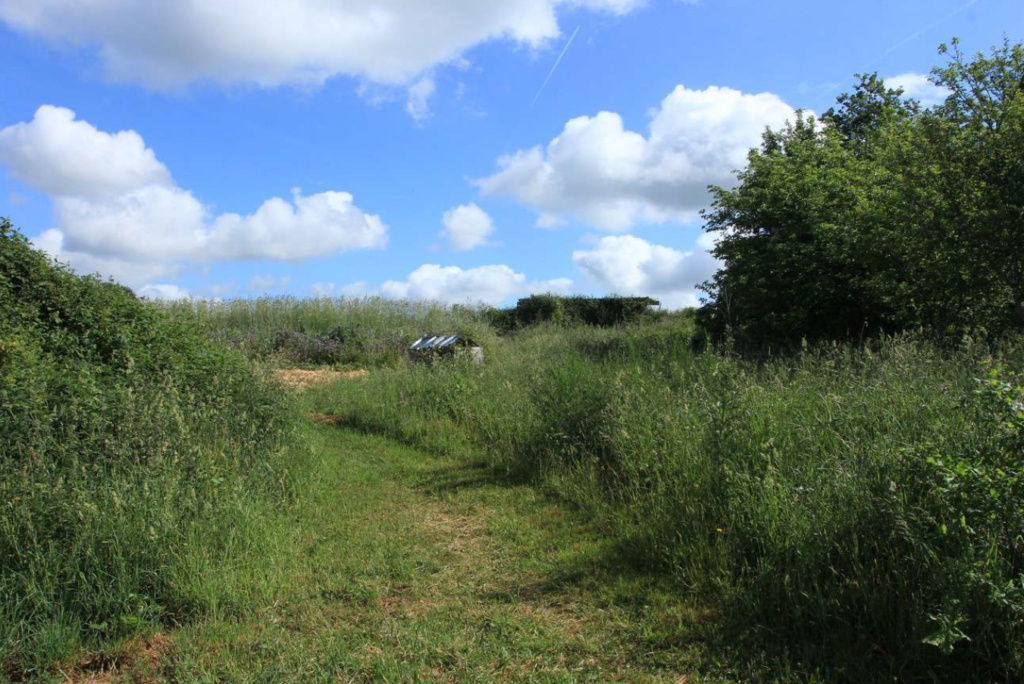 Bandes enherbées et buissons - photo Martin Diraison
