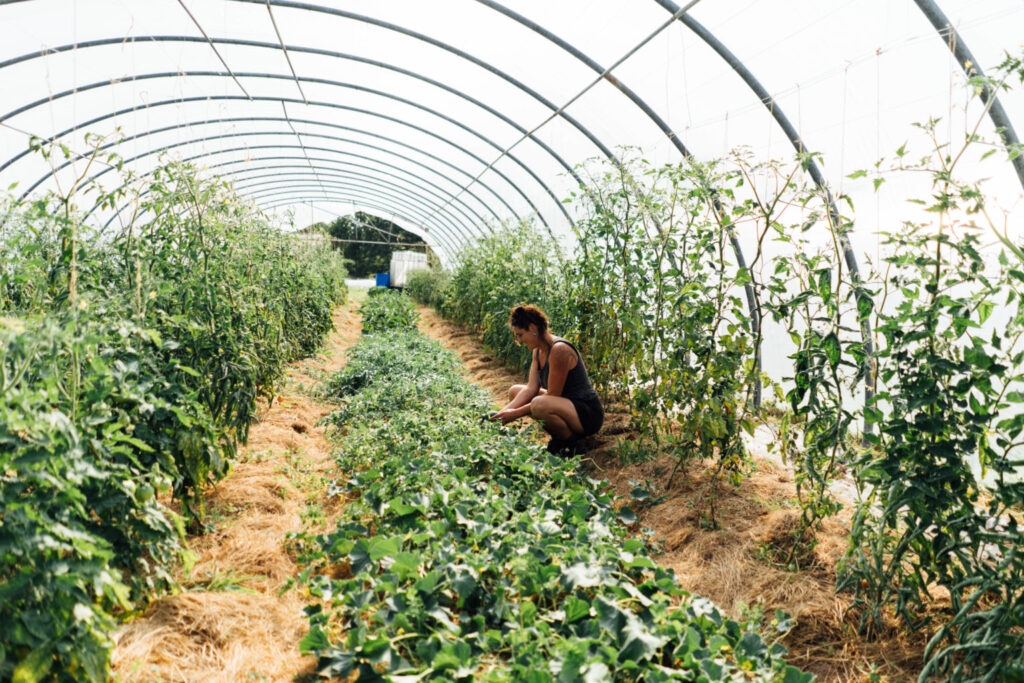 Serre Ferme de la Bouvrais
