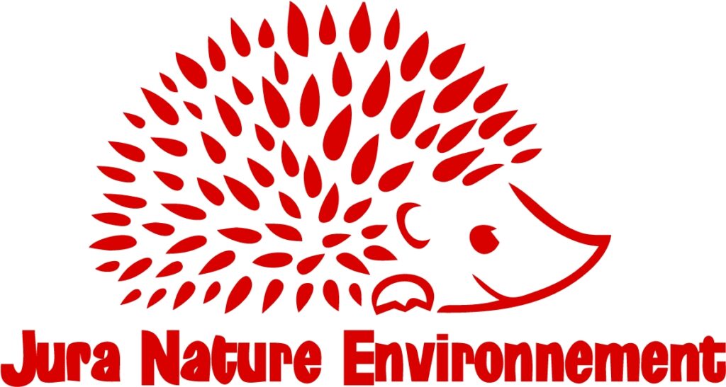 Logo Jne