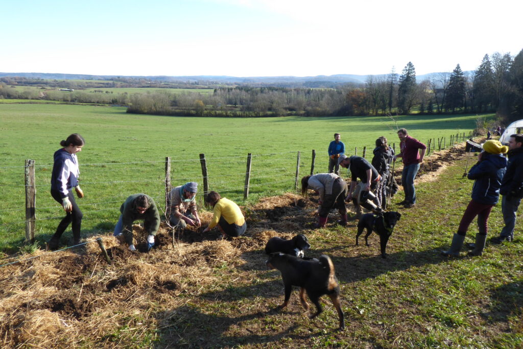 Chantier plantation de haies - JNE