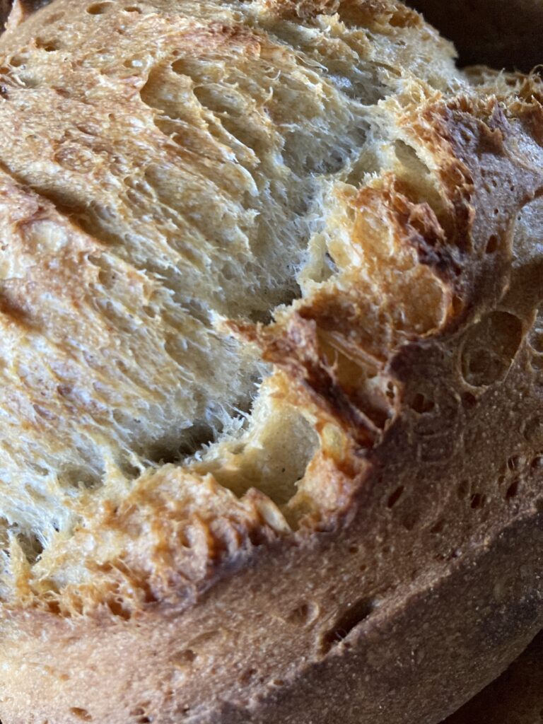 Pain - photo ferme de Kerbleust