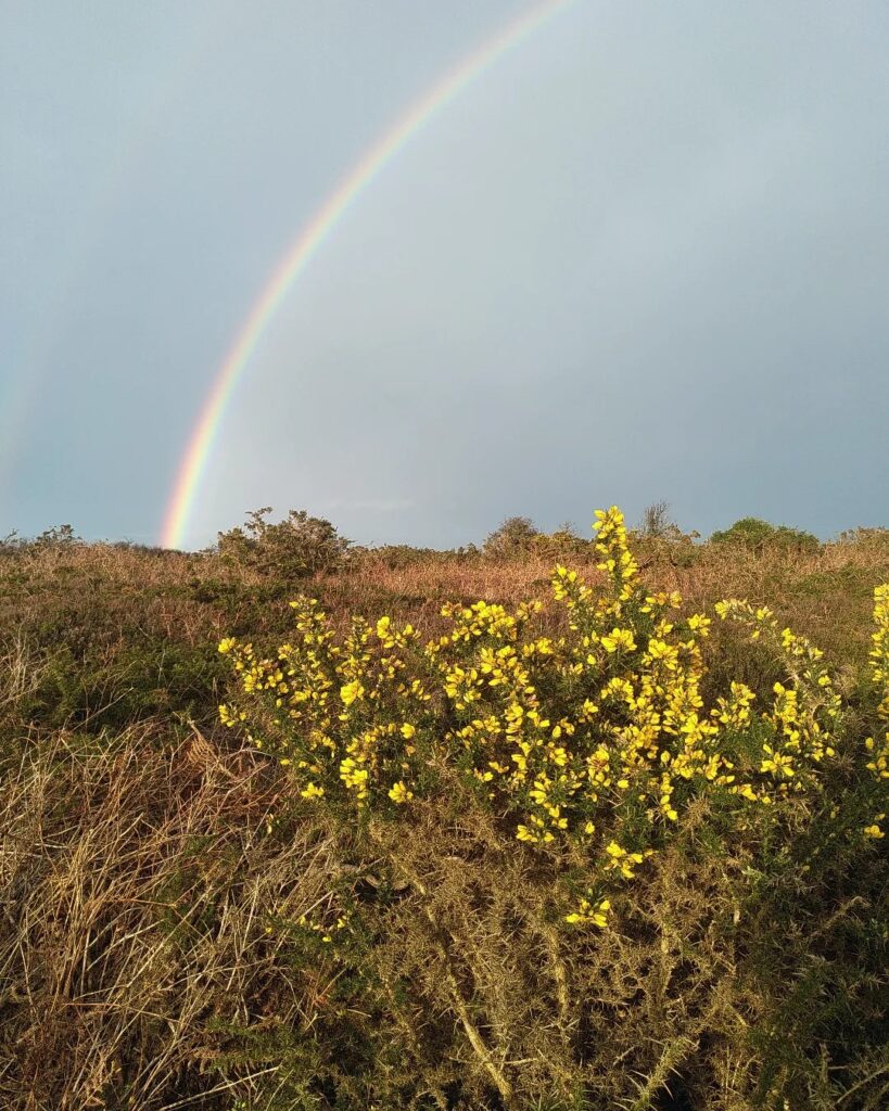 photo La Petite Ferme d'Emeraude