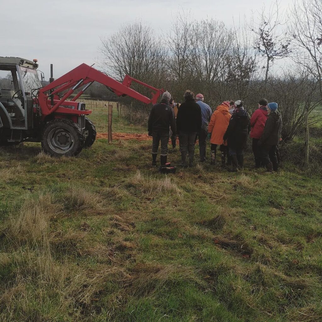 Chantier participatif pose de grillage autour des haies fruitières, avec le groupe Bretagne Vivante