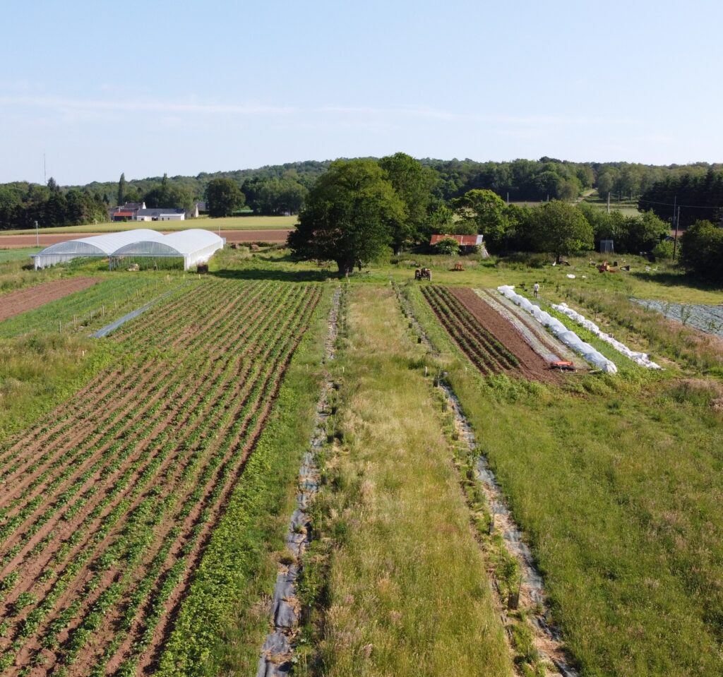tenue maraîchère - photo Ferme des Demains