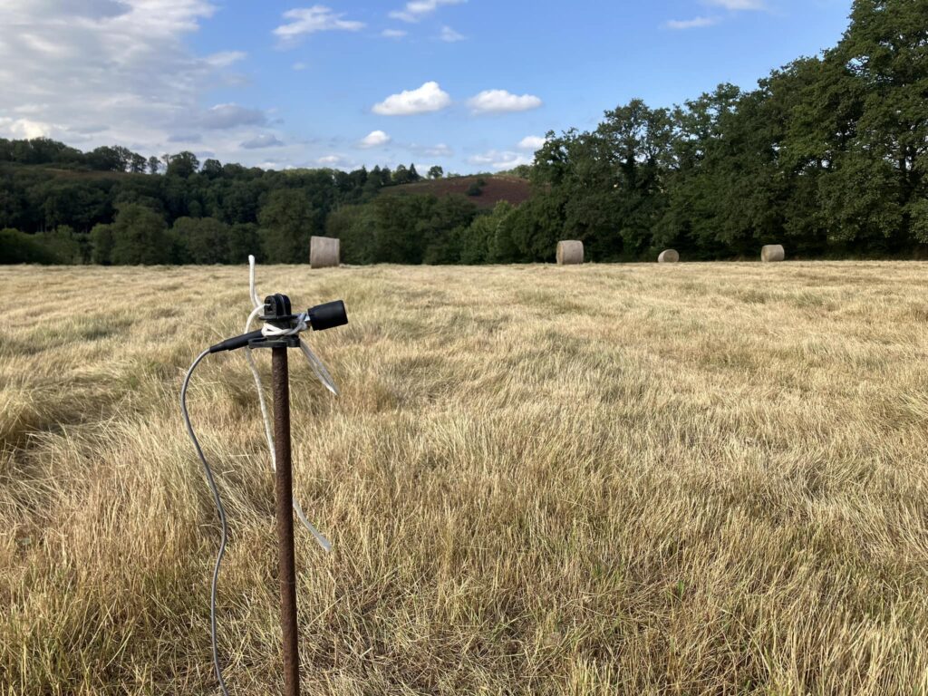 Enregistrement de chiros - ferme des Vieux Chênes