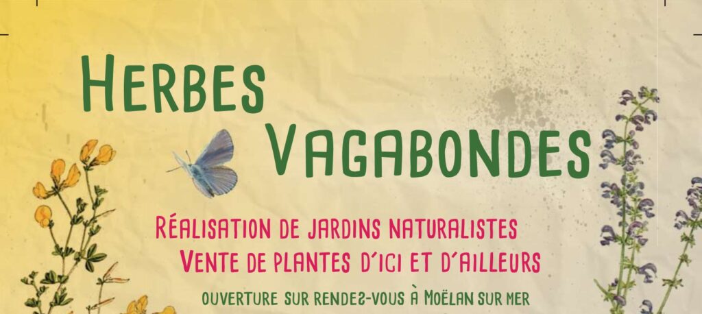 Herbes Vagabondes Visuel