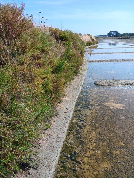 Fauche Alternee Joseph Le Cadre