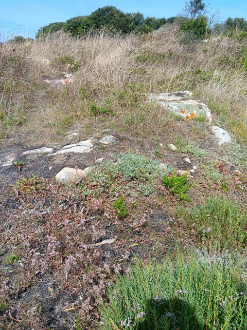 Gestion Invasifs Joseph Le Cadre