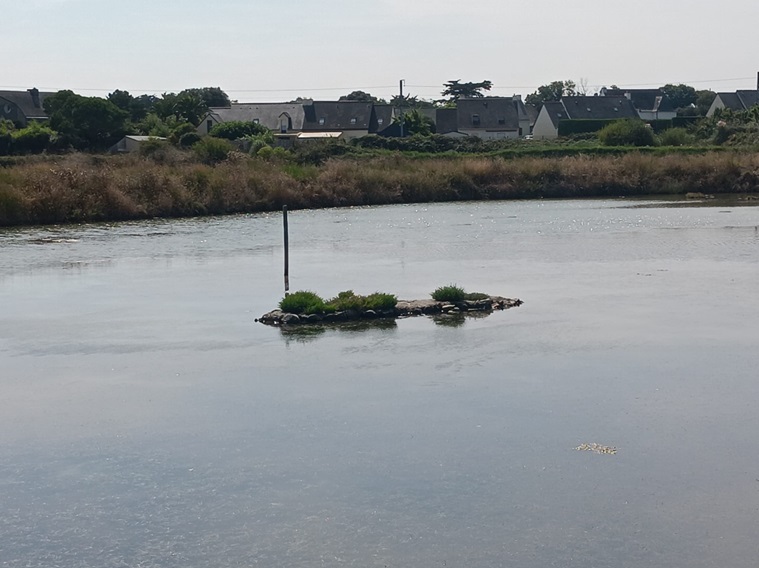 Ilots Nidif Joseph Le Cadre