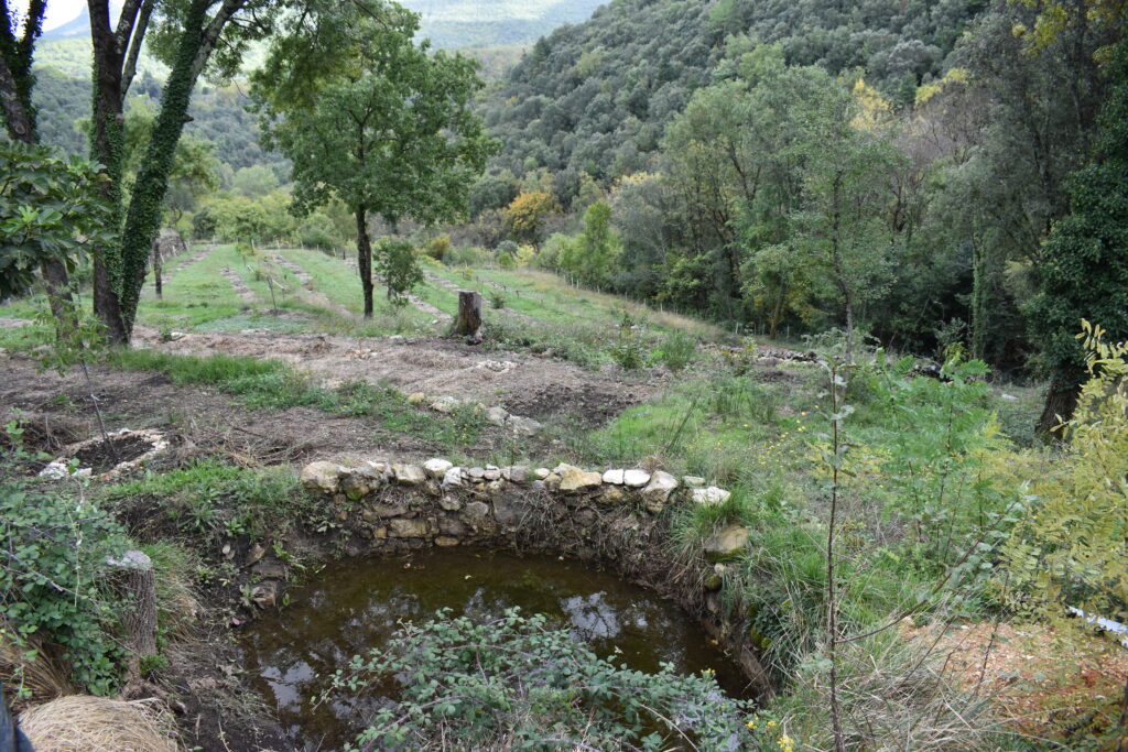 Mare Et Vue Plongeante - Ramdam Bio