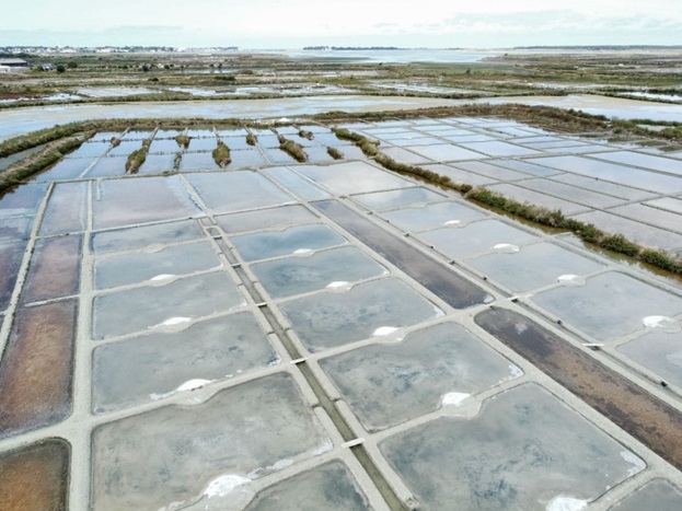 Saline Joseph Le Cadre