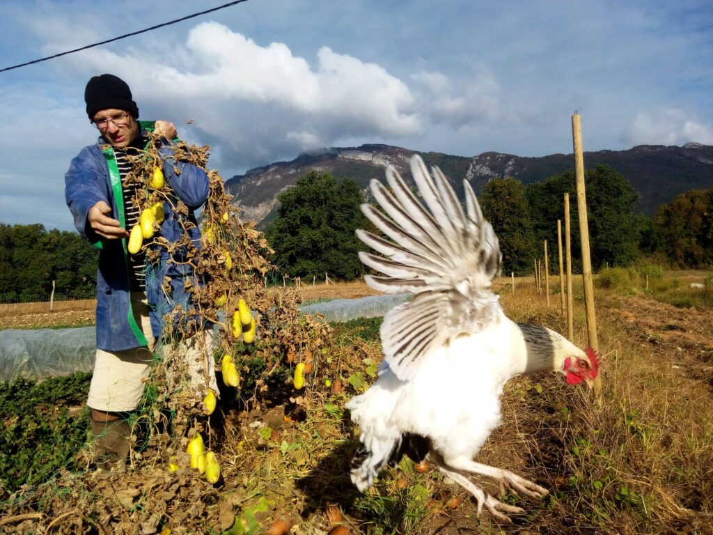 Le Paysan, Les Cornichons Et Ciccio_photo: Ferme de Carmintran