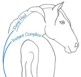 Logo Instant Complice