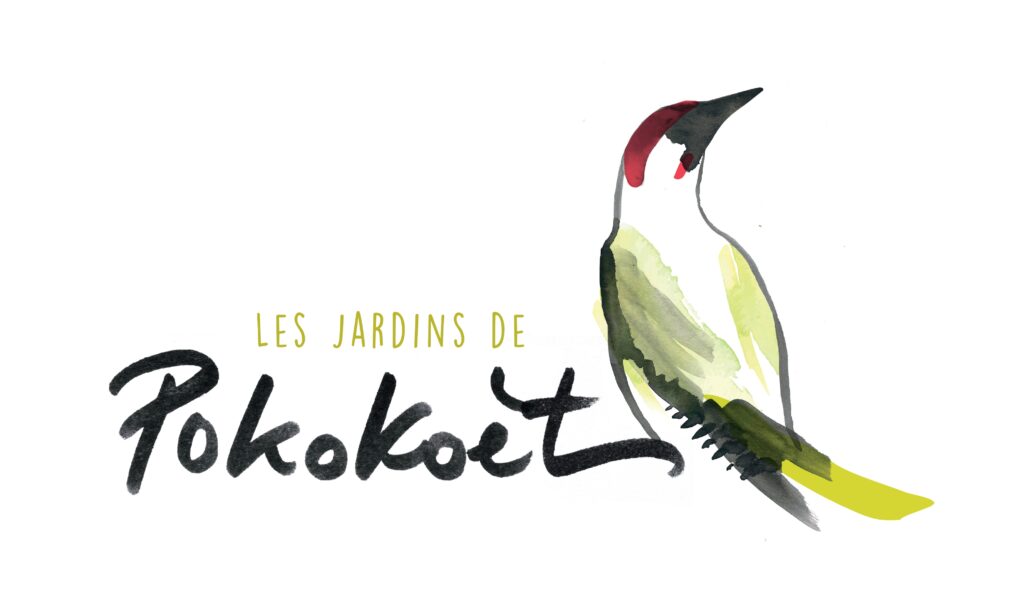 Pokokoet Logo Hd Page 0001