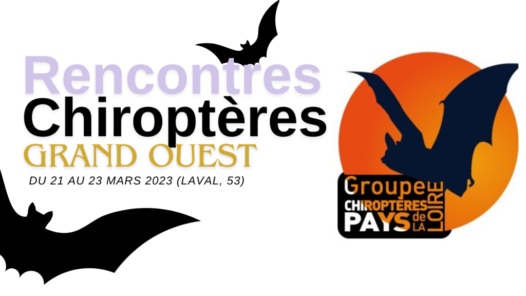 affiche Rencontres chiros Grand Ouest