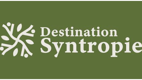 Logo Destination Syntropie