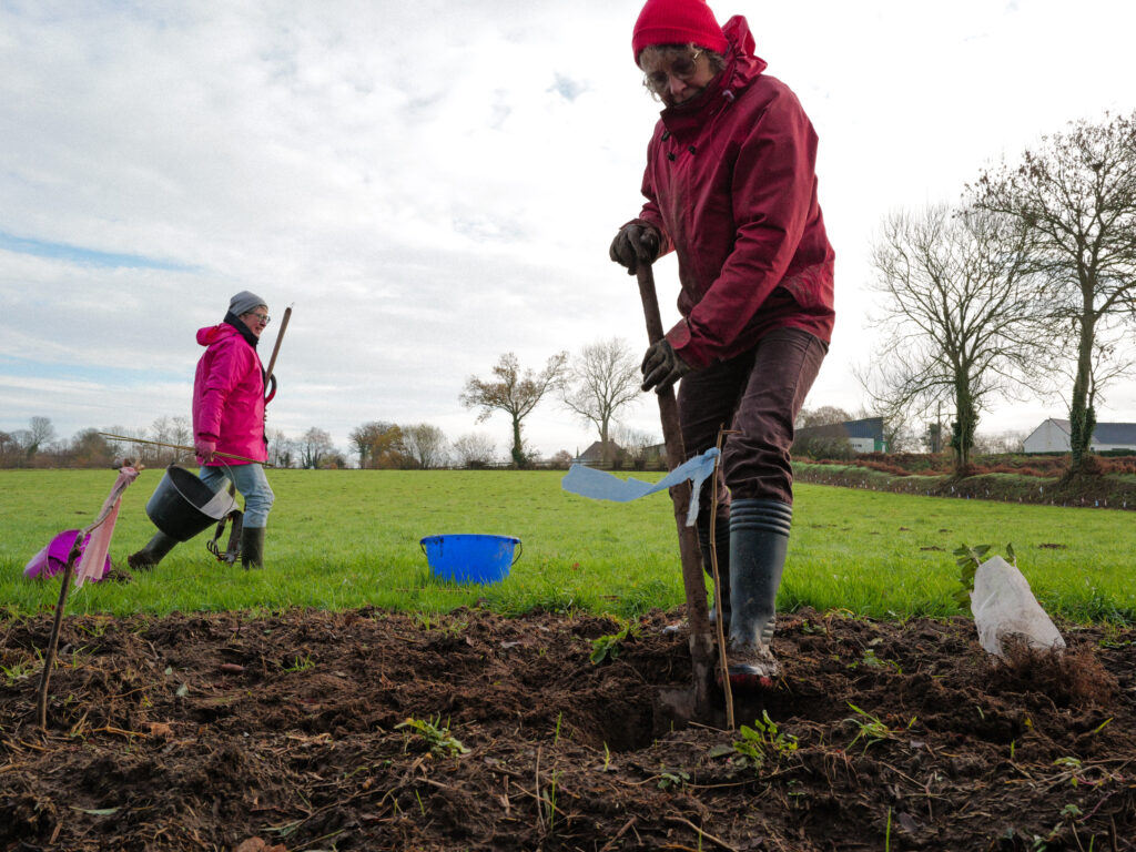 Plantation de haies avec les benevoles de la fondation terre de liens, à la ferme de la Pinçonniere, à Bourguenolles.
