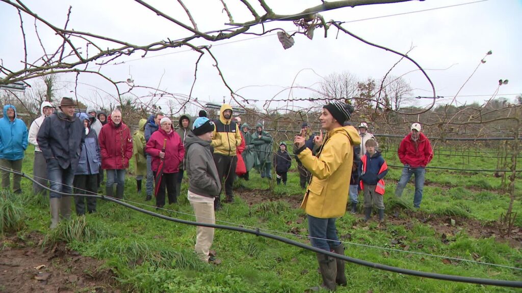 Les Vergers du Trégor sur France 3 régions