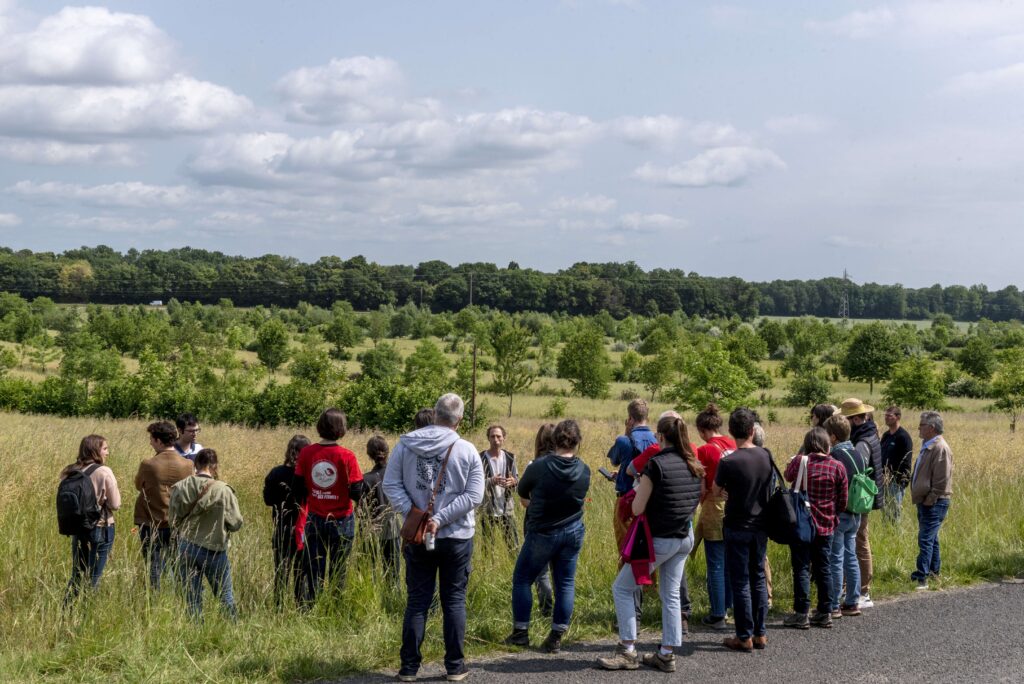 Visite Du Projet Agroforestier Ferme De La Fabrique Végétale © Terre De Liens Ile De France Hélène Degrandpré