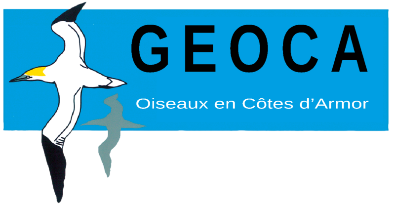 Groupe d&rsquo;Etudes Ornithologiques des Côtes-d&rsquo;Armor (GEOCA)