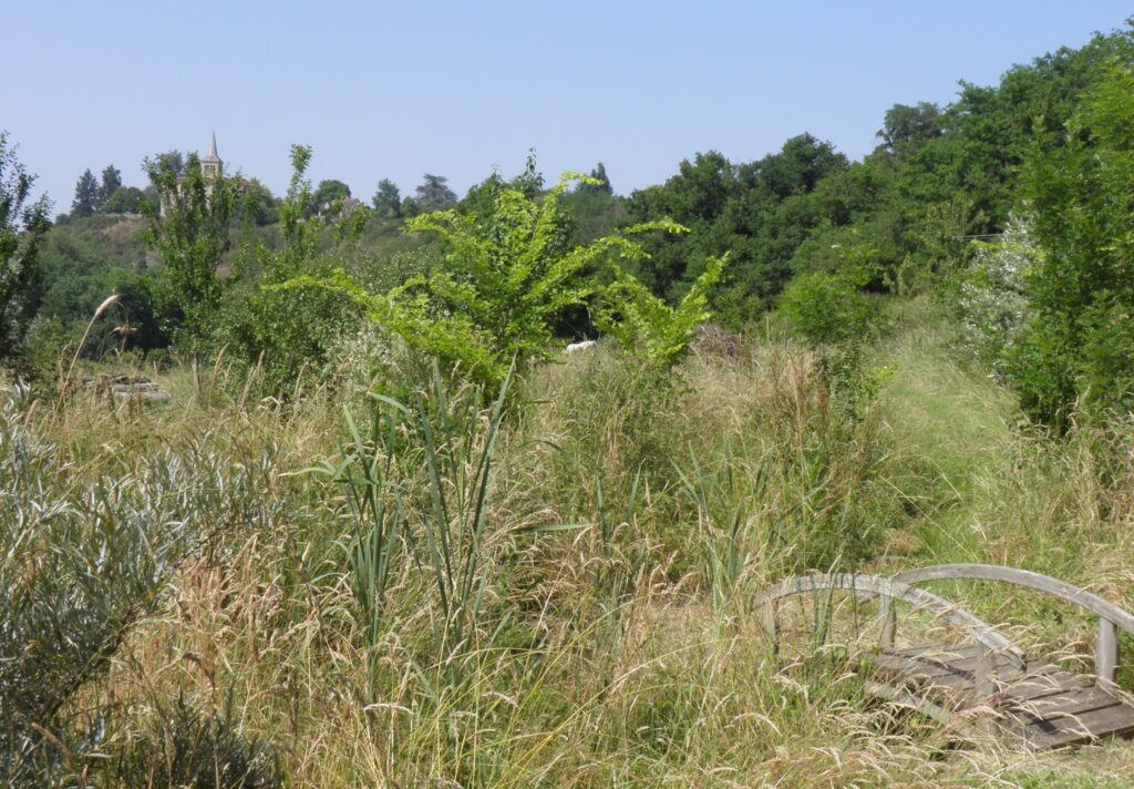 L'été au jardin_photo Rudolf Holierhoek