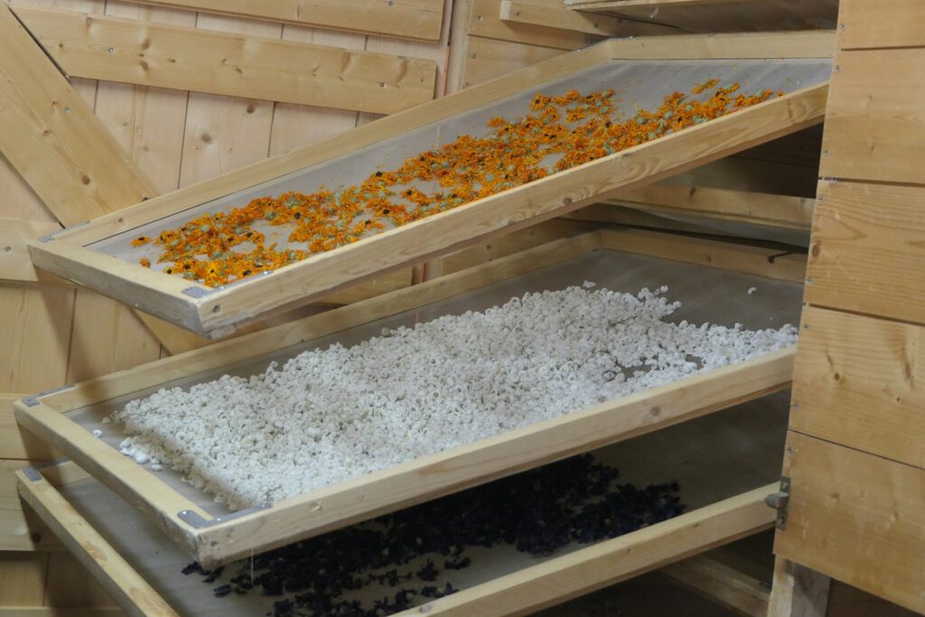 Séchoir pour la transformation des plantes en tisanes - les jardins de la Cure (photo : H.Gallet)