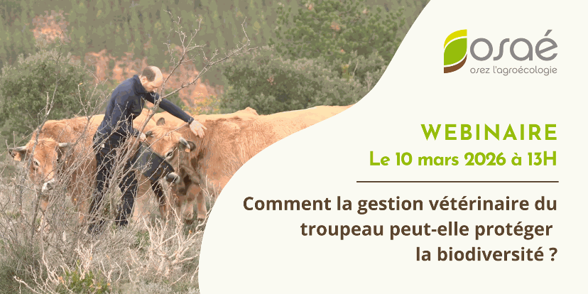 Cycle Webinaires Osae
