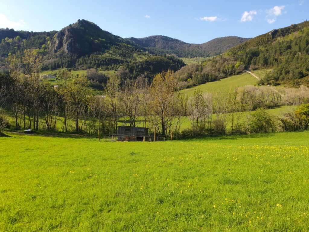 Ferme à reprendre Haut Diois