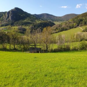 Ferme à reprendre Haut Diois