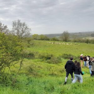 Accueil 1ere STAV - photo Lisa Tessier Agneaux des Coteaux