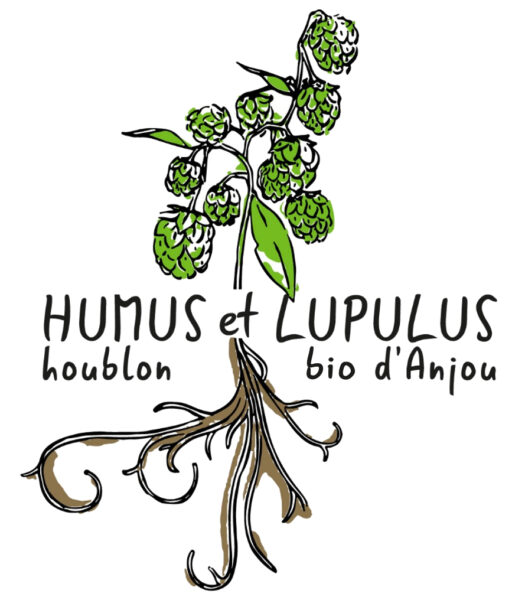 Humus et Lupulus – Hippolyte Terrones
