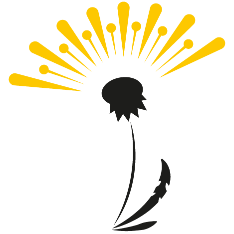 Miellerie Dandelion – Chloé Pellerin