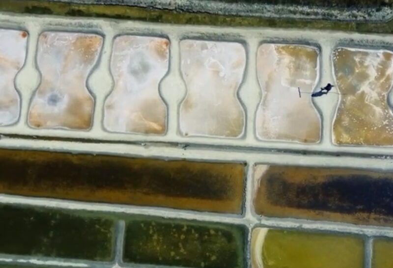 Les Salines du Breuil – Analia et Julien Lemaire Diaz