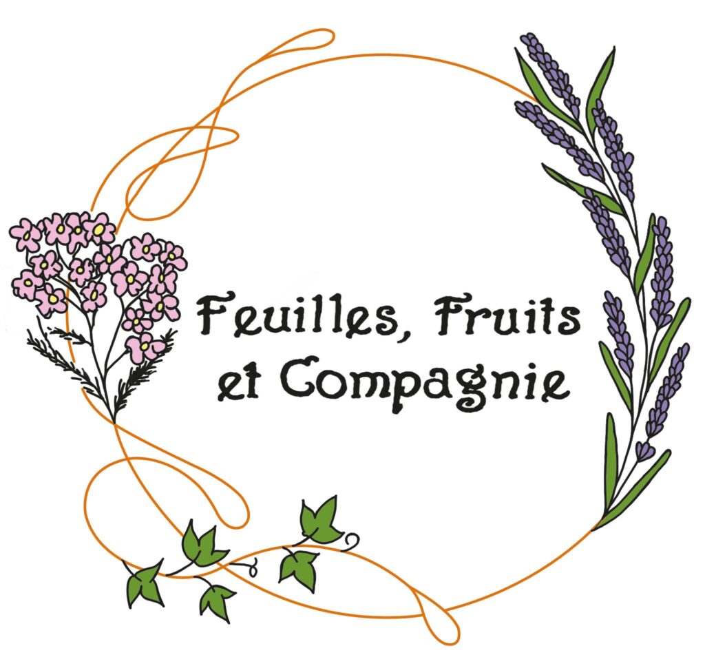 Logo Feuilles Fruits Et Cie